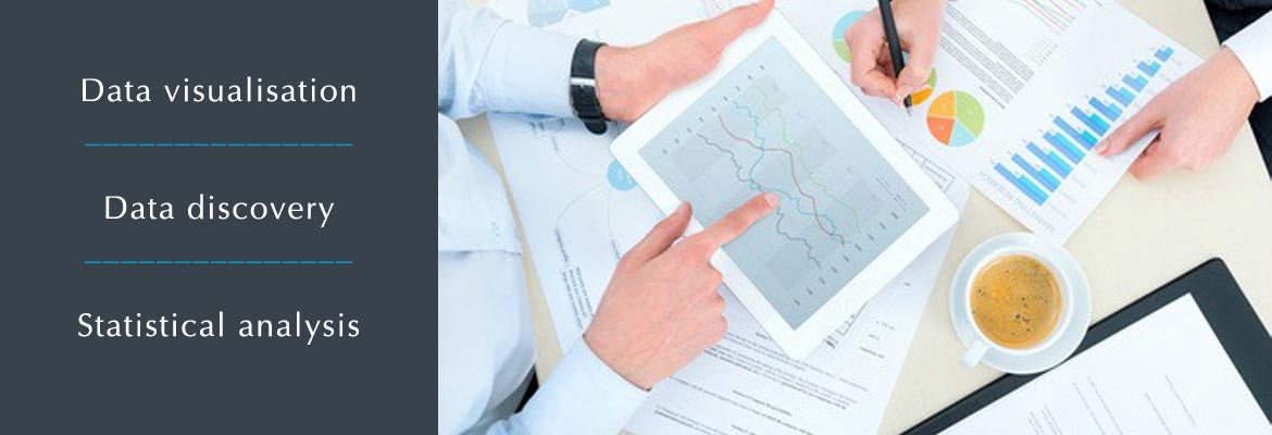 Data Analytics Services